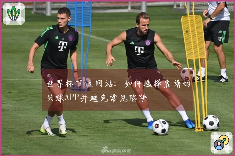 世界杯下注网站：如何选择靠谱的买球APP并避免常见陷阱